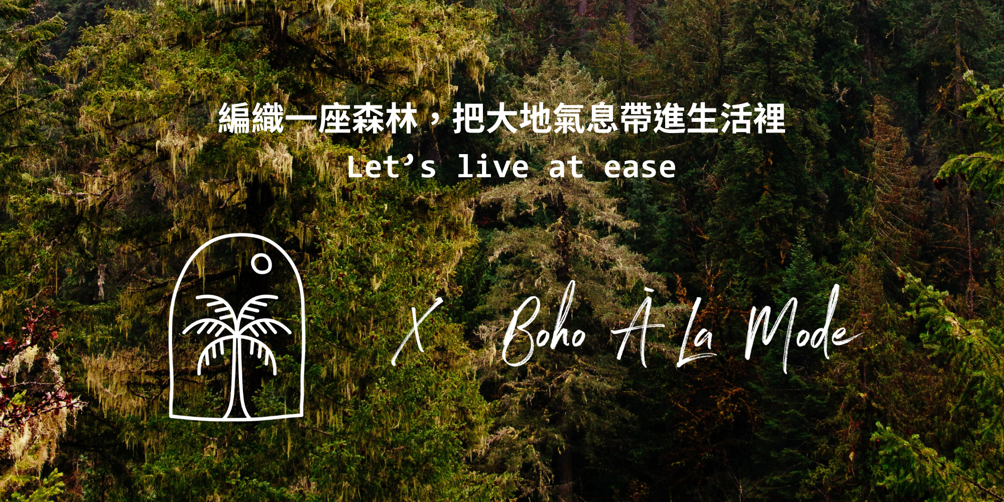 ease x Boho